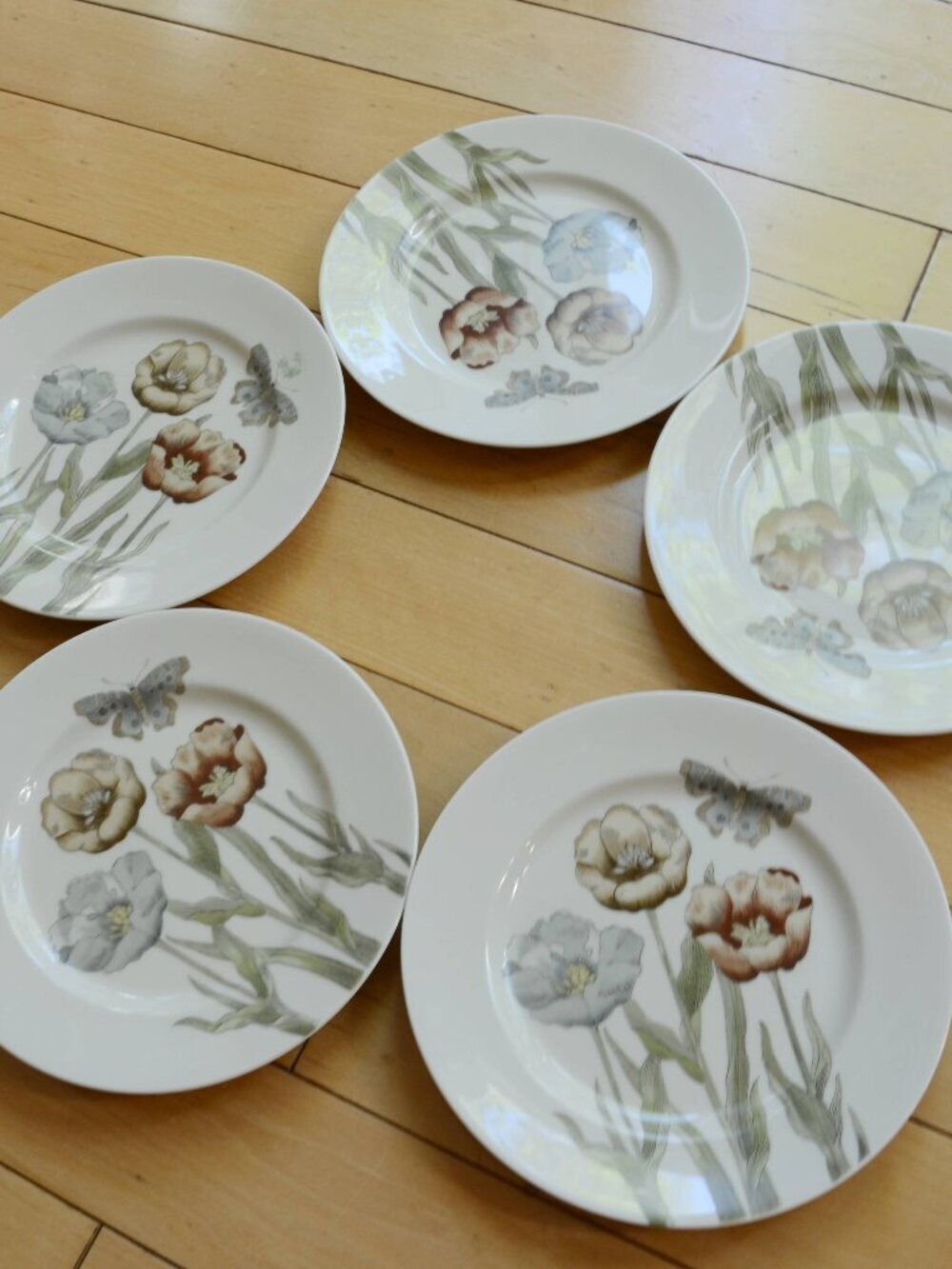 Vintage- Set of 5 - Fitz & Floyd Pastel Poppy Pattern Salad Plates